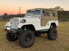 JEEP WILLYS 1967, SUPER EQUIPADO, MUITO BEM FEITO imagem 3
